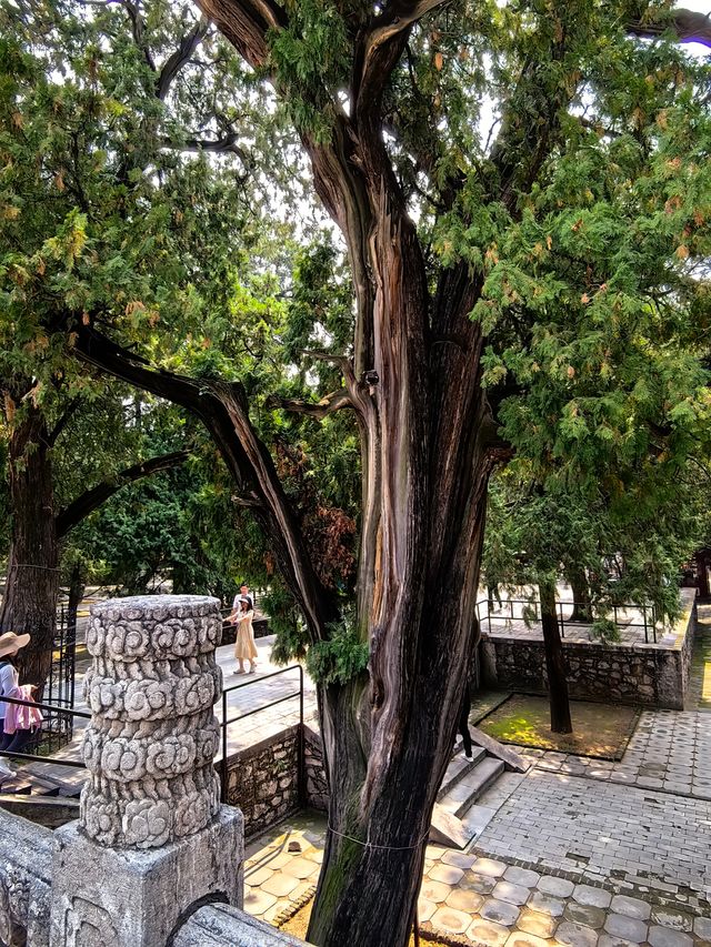 岱廟