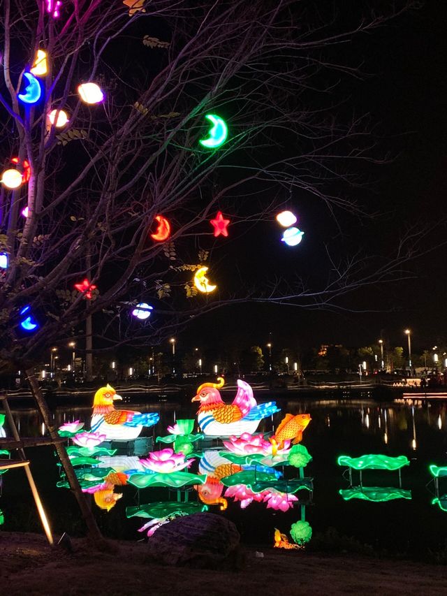 惠州西湖2024年花燈