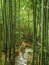 去了十幾次莫干山，終於發現了新玩法