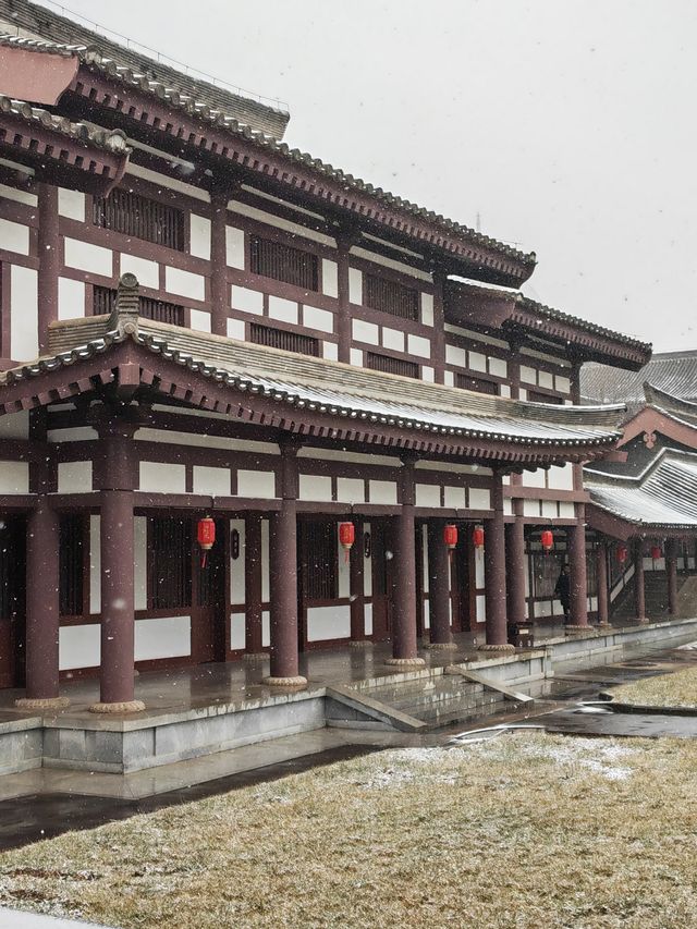 雨雪中遊法門寺