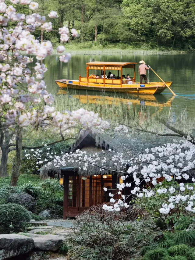 Wow! The upcoming Hangzhou is simply the ceiling of romance!