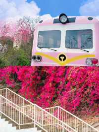 深圳！直達地鐵公交的秘密花園！九成九的人都不知道！