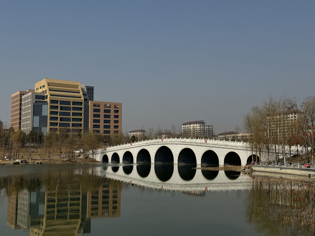 萬頃湖泊，七重精彩！來雄安金湖公園感受綠色春光！