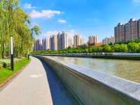 蘇州河畔風景如畫的公園
