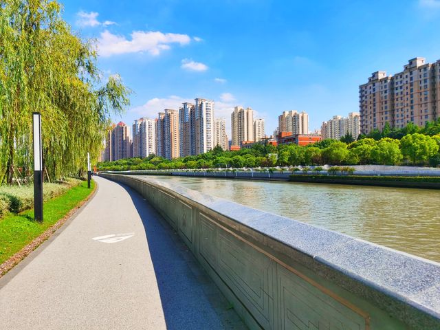蘇州河畔風景如畫的公園