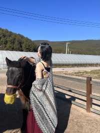 雲端彼岸茶馬古道果然聽再多不如來玩一遍