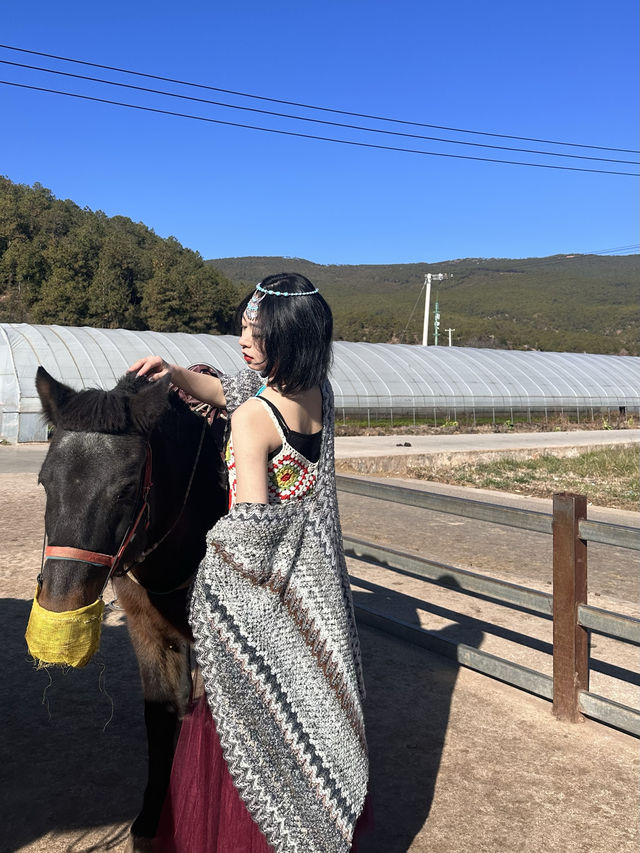 雲端彼岸茶馬古道果然聽再多不如來玩一遍