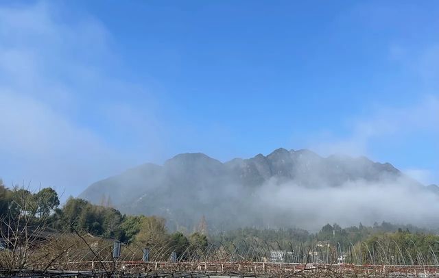 泰順廊橋