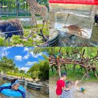 距離深圳1小時~人均19!!近距離餵動物玩水~別