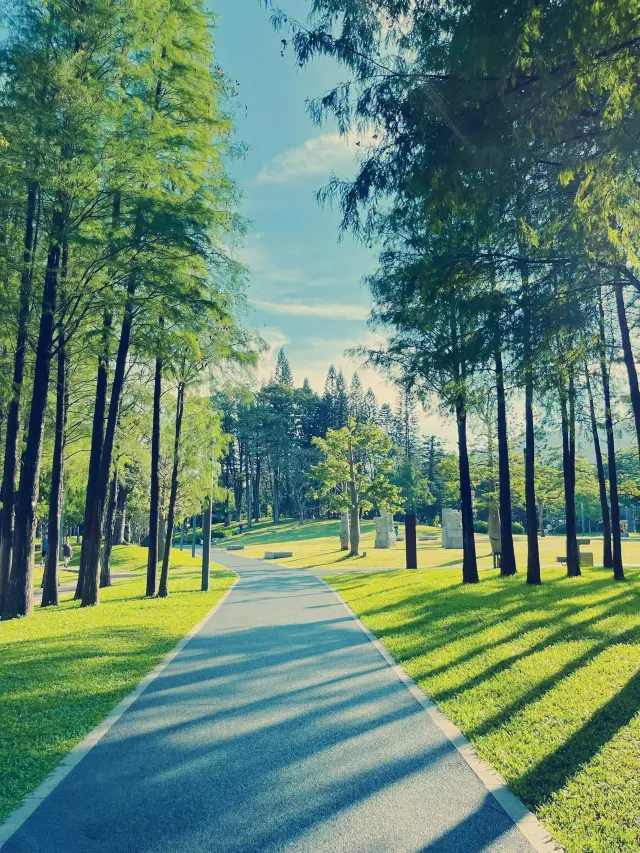 Shenzhen's hidden gem park for strolling with kids, filled with lychee trees