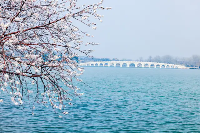 3月に北京に行くなら、西堤は必見です
