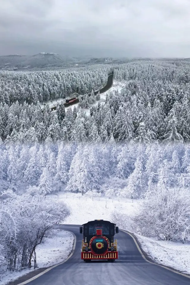 The most comprehensive guide to playing in the snow at Fairy Mountain in Wulong, Chongqing, 2024