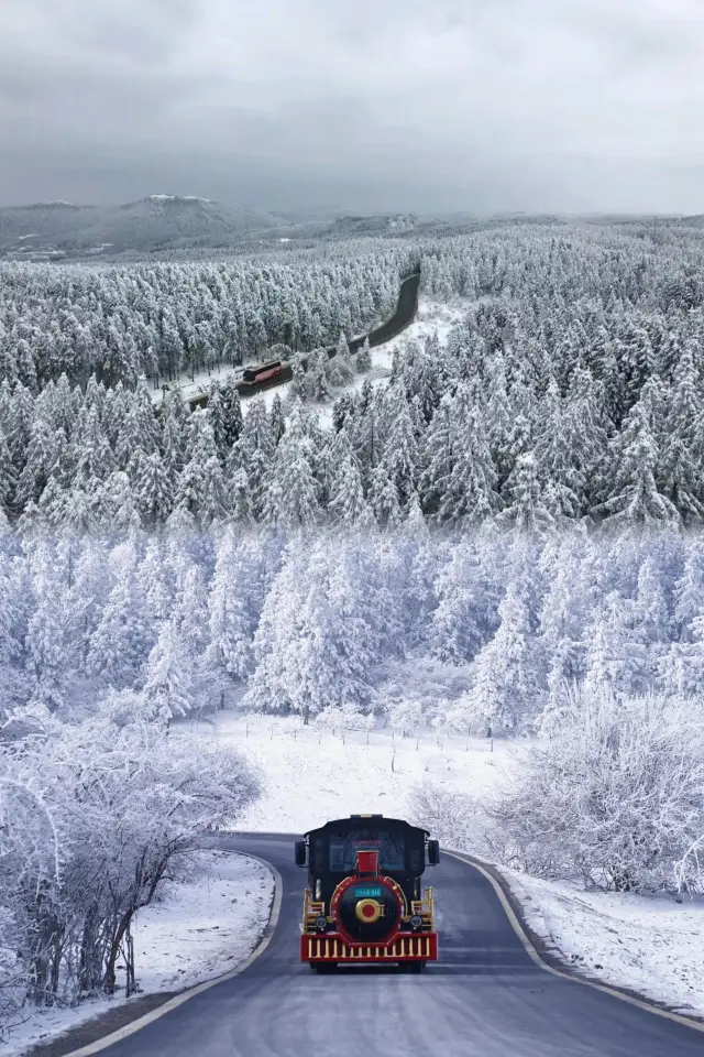 重庆武隆仙女山2024雪遊び最全攻略