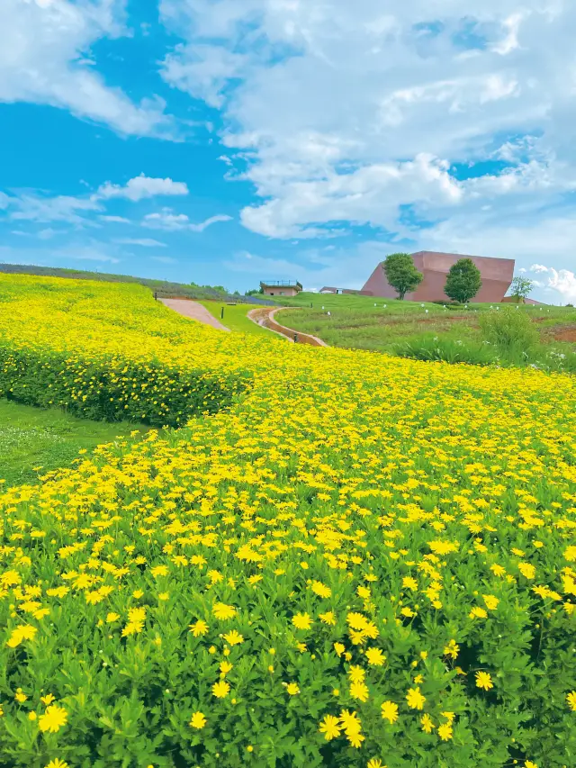 夏休みの雲南旅行|弥勒市に隠された最も芸術的な町