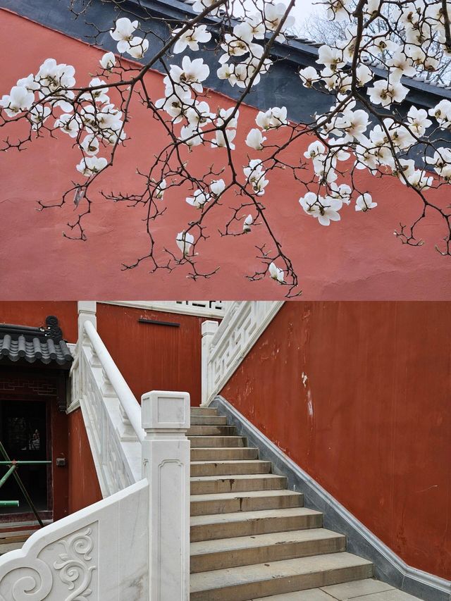 南京｜清涼山中清涼寺|||清涼寺位於南京市鼓樓區，始建於南朝