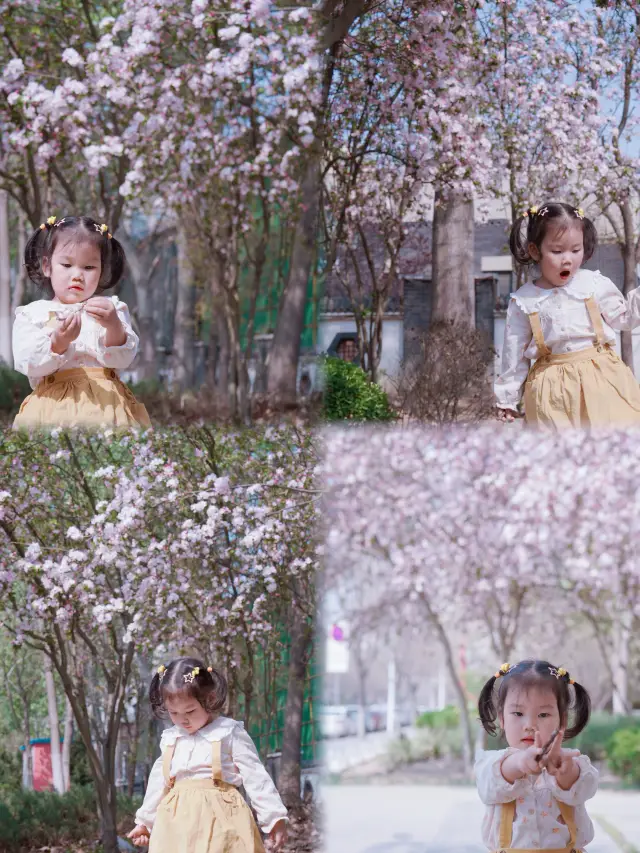 Come to Tianjin Drum Tower to enjoy the flowers~