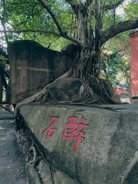 福州「三山」之於山，深藏歷史文化底蘊
