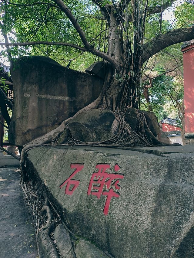 福州「三山」之於山，深藏歷史文化底蘊