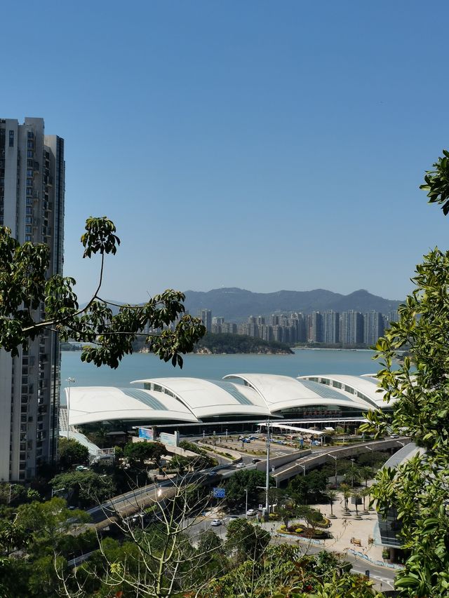 健康步道雲海線～狐尾山賞櫻