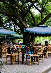 成都|去清風竹影竹有詩意的公園喝茶去