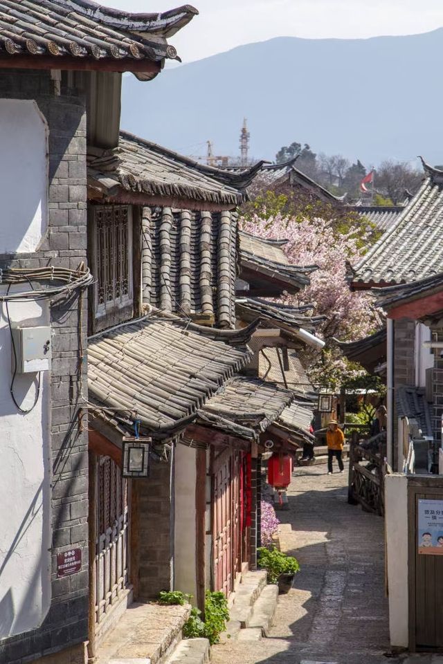 在麗江感受陽光……
