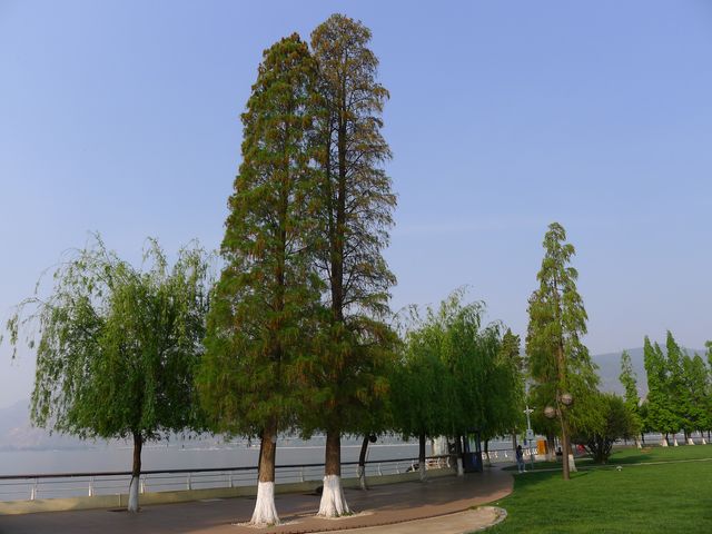 滇池畔的綠色——昆明海埂公園