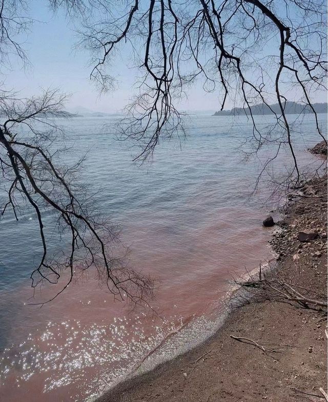 浙江杭州·千岛湖|一鲸落 萬物生