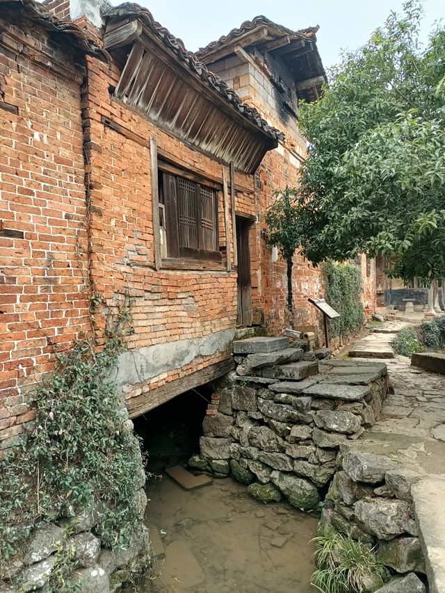 廣西自駕遊（十七）