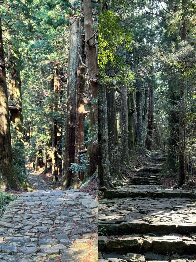 那智山熊野古道半天行程推薦