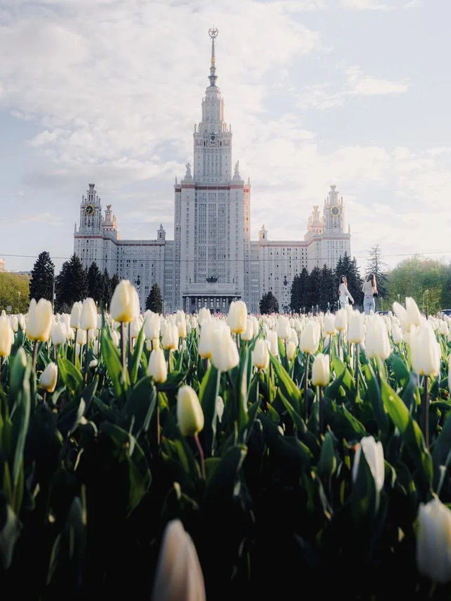 Spring in Europe 🇷🇺🇭🇺🇳🇴🇳🇱