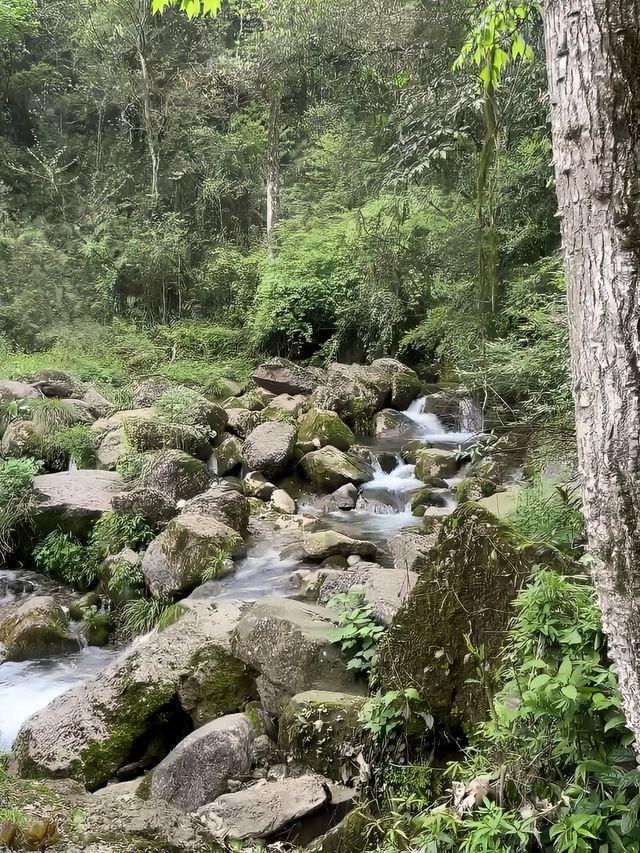 打卡青城後山