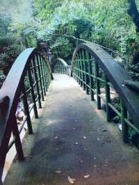 三爪仑國家森林公園