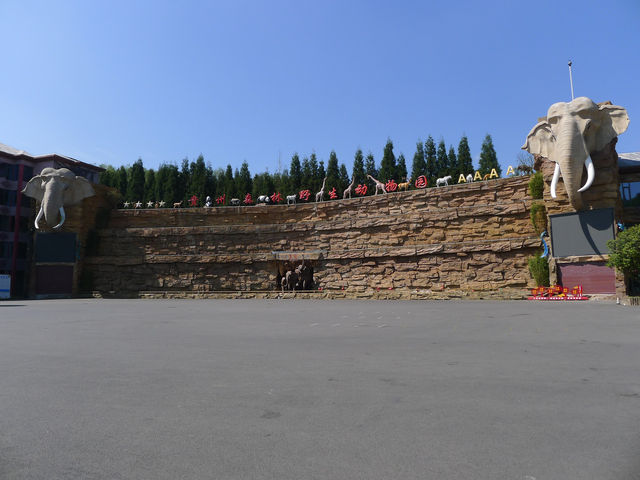 貴州第一動物王國——貴陽森林野生動物園