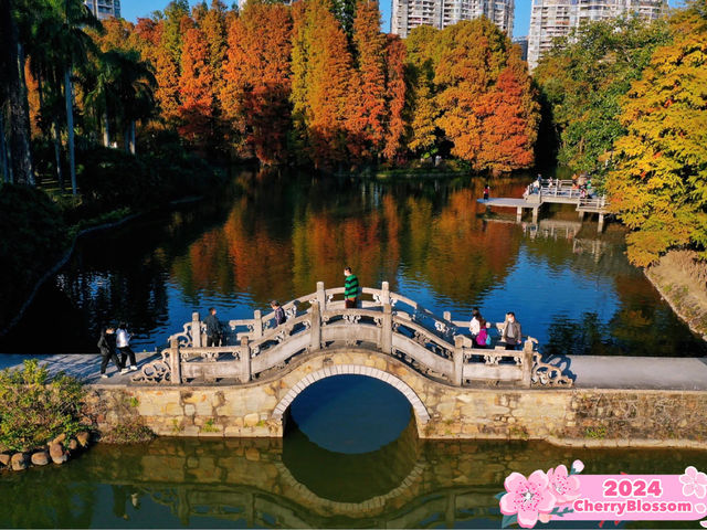 🌿🌺 The Green Jewel of Guangzhou: South China National Botanical Garden 🌺🌿