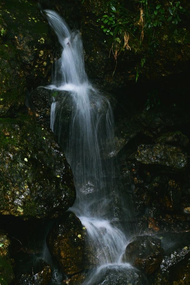 漳州平和｜N座寺N座山，靈通山遊記（附攻略||