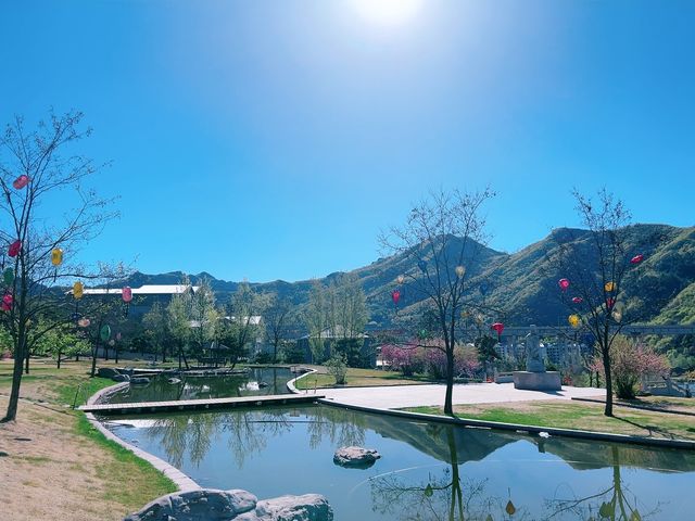 這麼近，那麼美