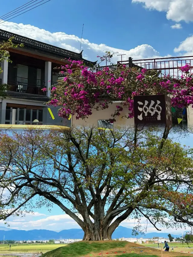 After listening to the wind, I arrived at Xizhou Ancient Town