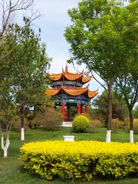 園博園 春及園