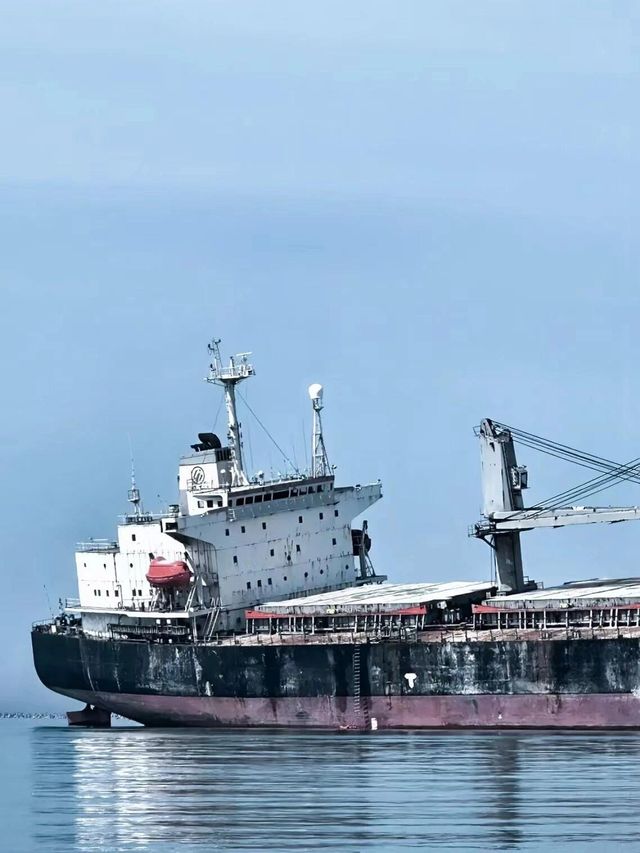 榮城｜親子遊絕不能錯過的寶藏海邊