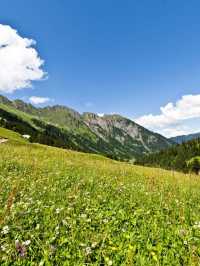 🏔️ Gstaad's Grand Escape: Luxury Awaits! 🌟