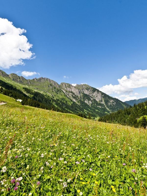 🏔️ Gstaad's Grand Escape: Luxury Awaits! 🌟