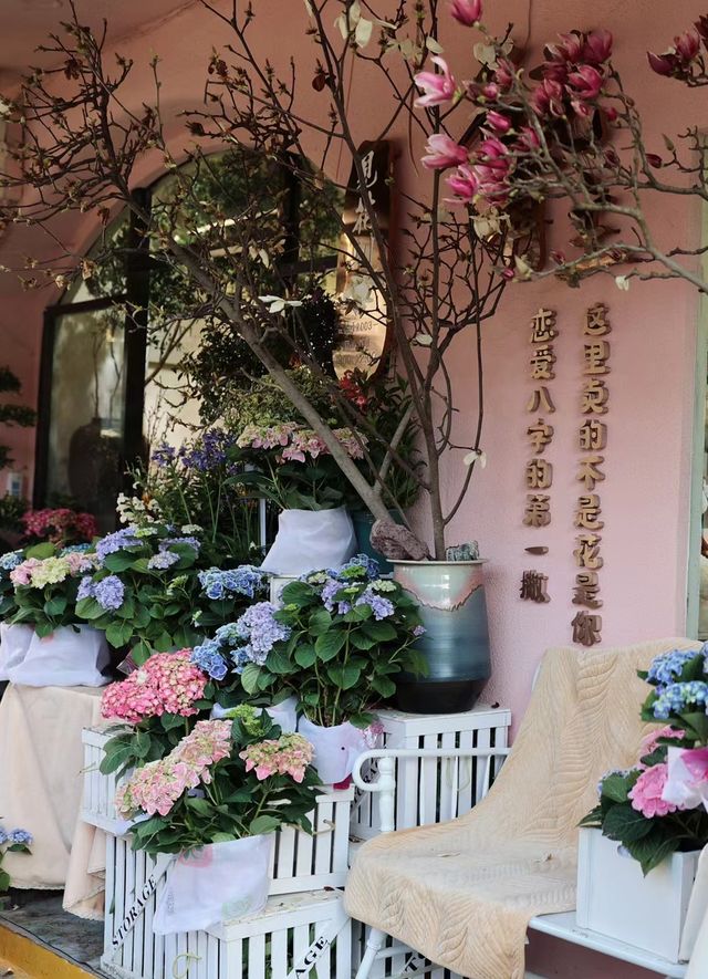 去什么植物园，直接来厦门溪岸路花鸟市场！