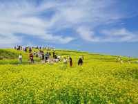 我終於來了任意門的另一邊——芸上梯田
