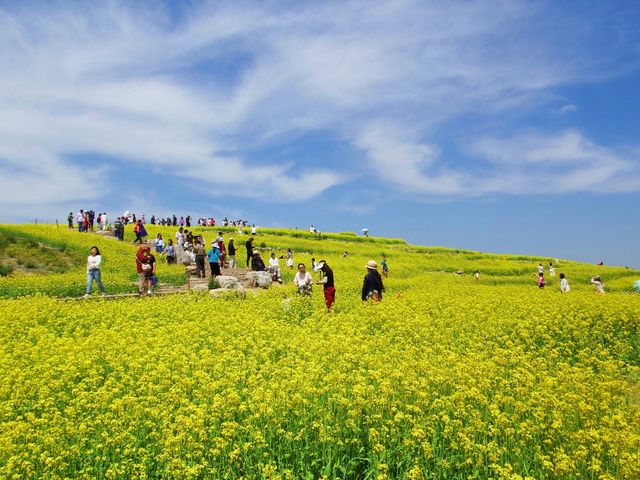 我終於來了任意門的另一邊——芸上梯田