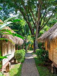 🌴🛌 Pai's Hidden Gem: Boutique Bliss & Nature's Embrace 🏞️
