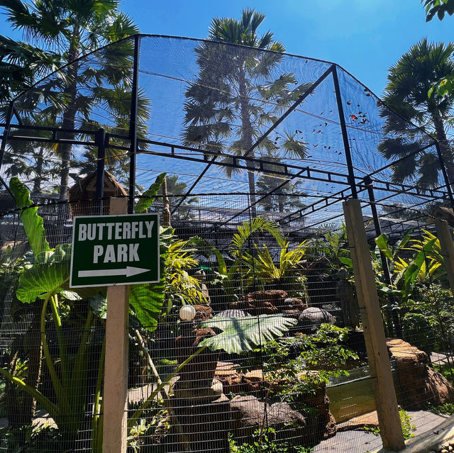🦋 🇮🇩 Bali Butterfly Park