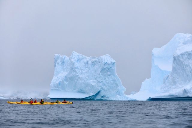 除了企鹅和冰原，南極好像也沒什麼其它的？