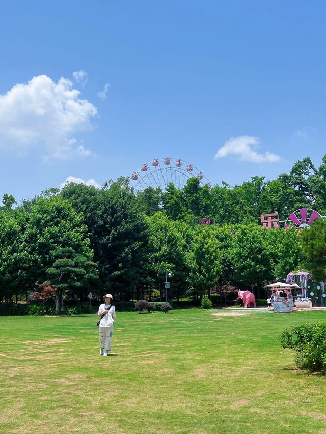 去了99次才寫的東湖磨山攻略徒步+遊玩