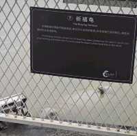 年輕人的專屬浪漫，順德網紅打卡地漁人碼頭