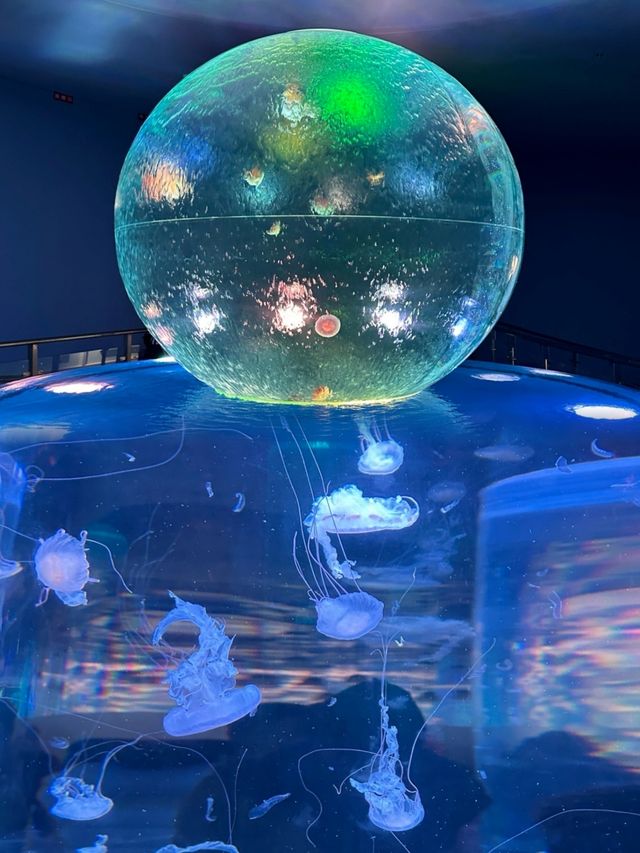 鄭州海昌海洋度假區——讓您在中原也能品味大海的浪漫